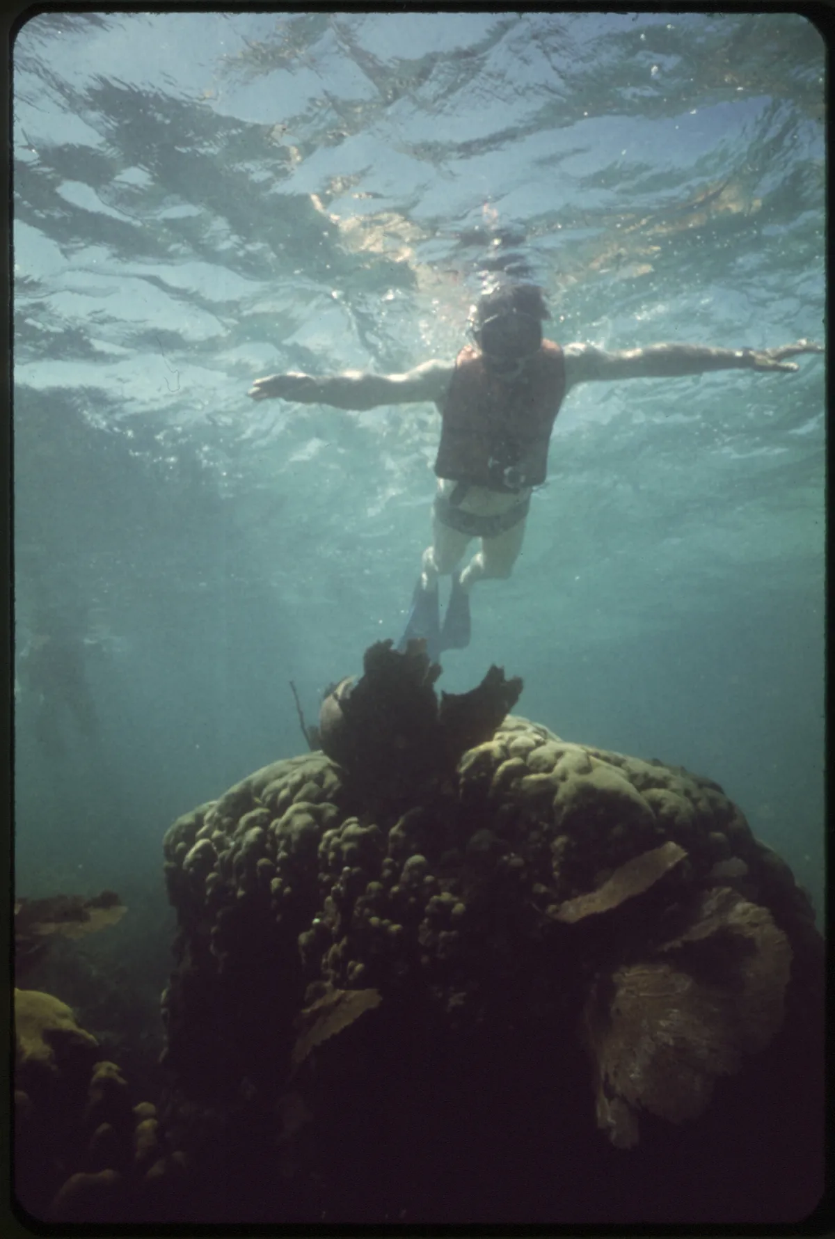 Boat crew helping snorkelers into turquoise water over a protected reef on a four-hour Key Largo snorkeling trip